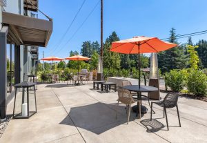 Tapani-Inc-The-Oliveen-Padio