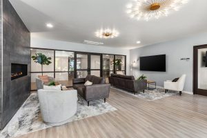 TapaniInc-The-Oliveen-FirePlace