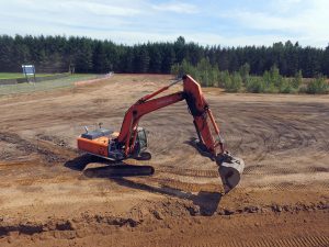 project_hockinson-wetland01