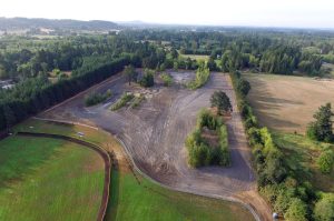 project_hockinson-wetland02