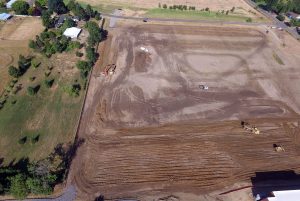 project_hockinson-wetland04