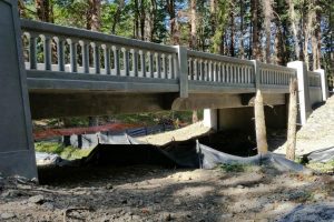 Moffet-&-Lindsey-Creeks-#2