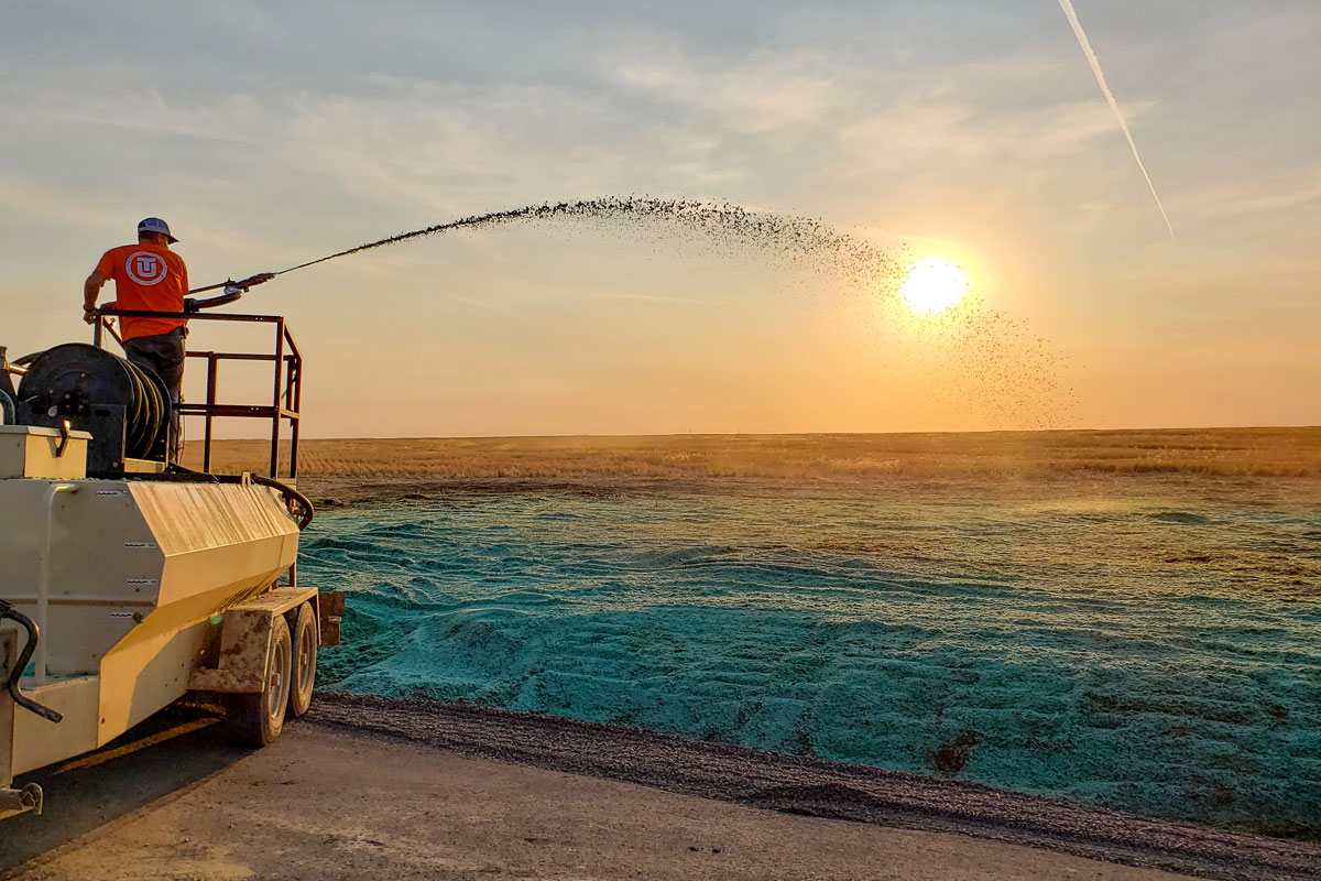 Hydroseeding