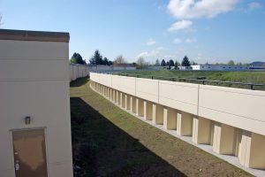 project_briscoe-desimone-reach1_03