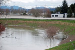 project_briscoe-desimone-reaches2-3_01