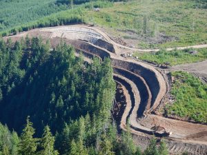 Environmental Market