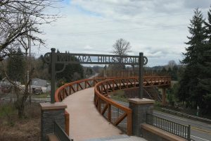 Tapani-Inc-Willapa-Hills-State-Park-Overpa-image4