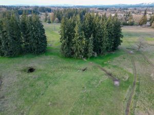 Hockinson-Disc-Golf-Tapani-Inc-image3